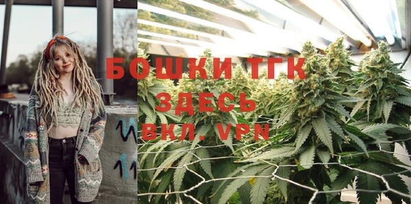 МДПВ Алексин